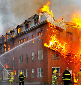 single-gallery-img1.jpg