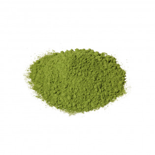 Holy Basil