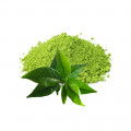 White Tea