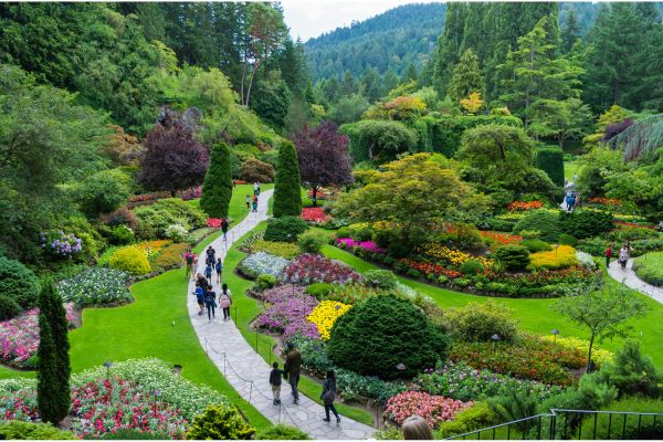 Landscape Design