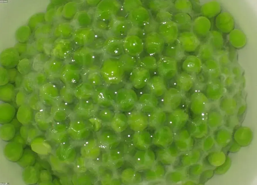 Frozen Vegetables & Fruits