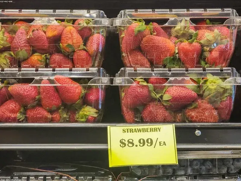 IQF Strawberries
