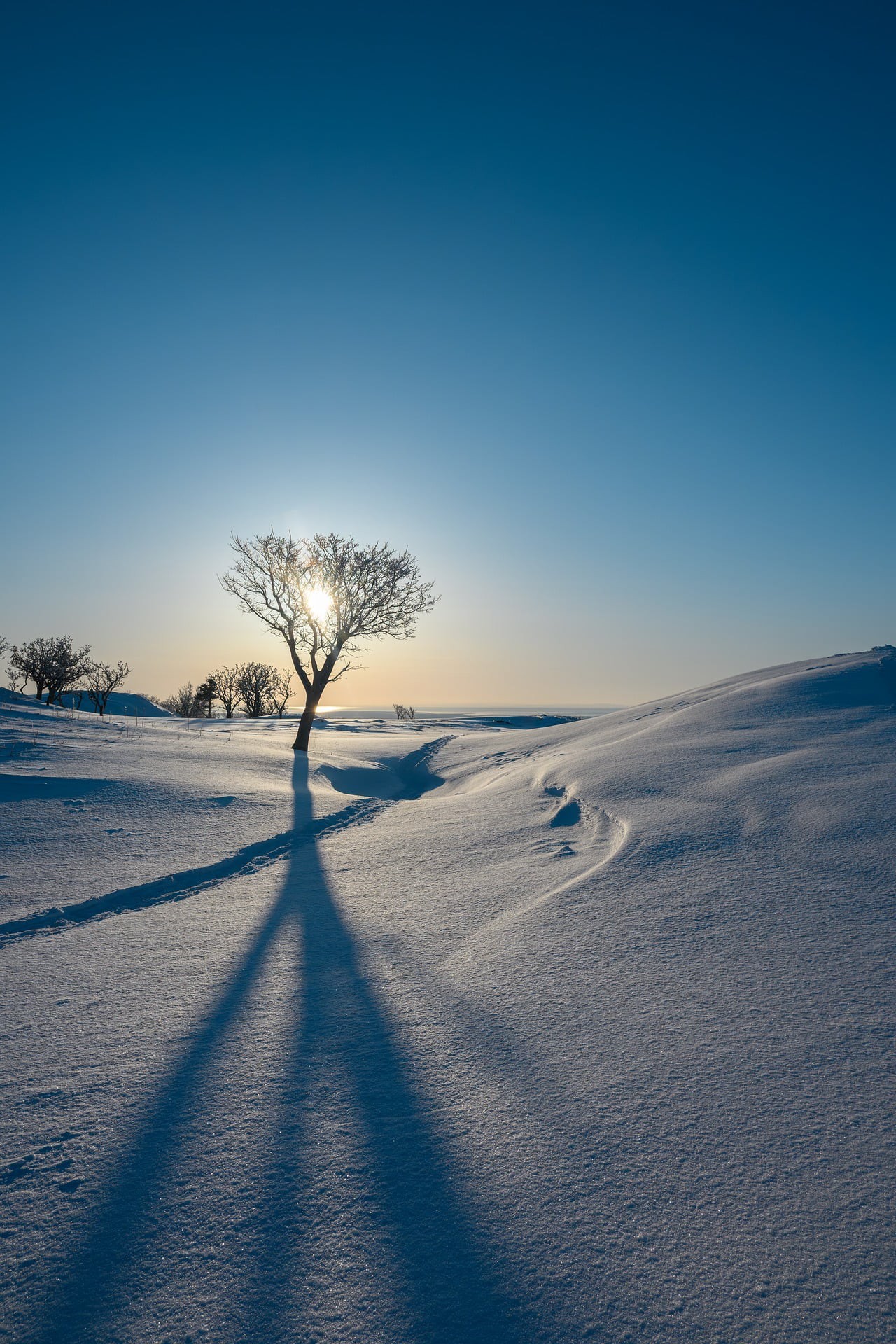 冰天雪地