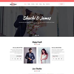 ��ɫ�Ļ�ɴ������Ӱ��˾HTML��̬bootstrapģ��