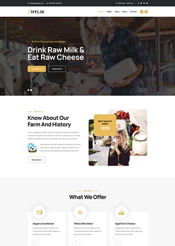 ţ����Ʒ������ҵHTML5ģ��